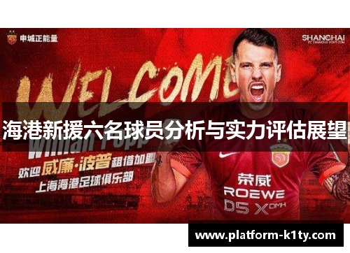 海港新援六名球员分析与实力评估展望